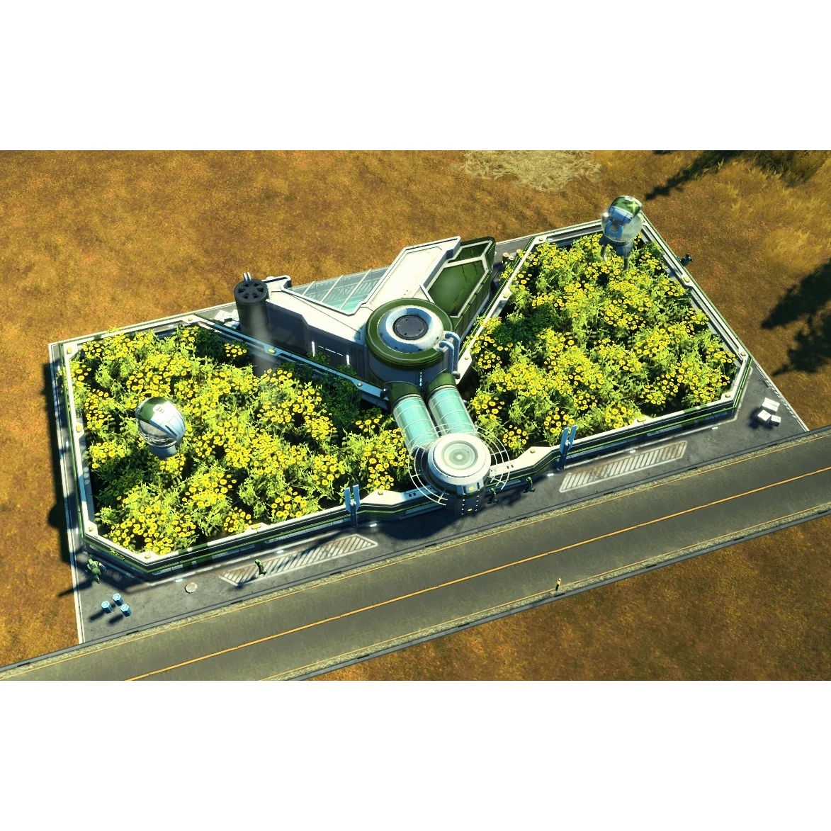 Sonnenblumenfarm (Tundra)